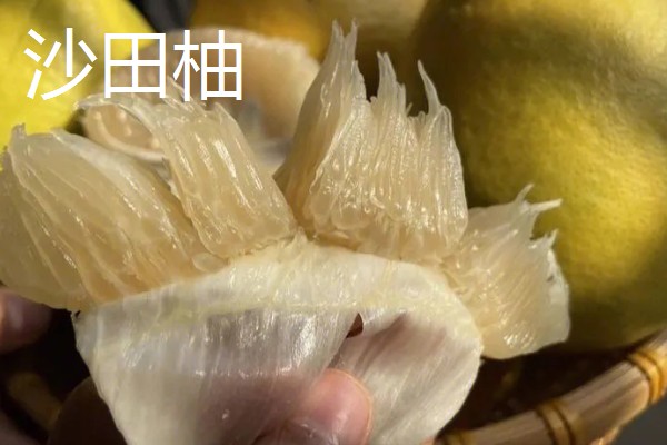 柚子的品种，有沙田柚、文旦等