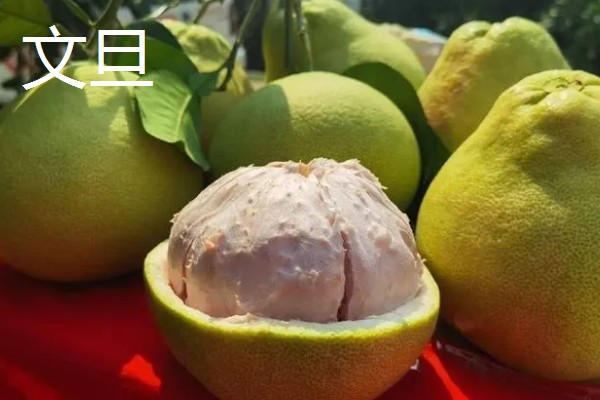 柚子的品种，有沙田柚、文旦等