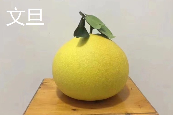 柚子的品种，有沙田柚、文旦等
