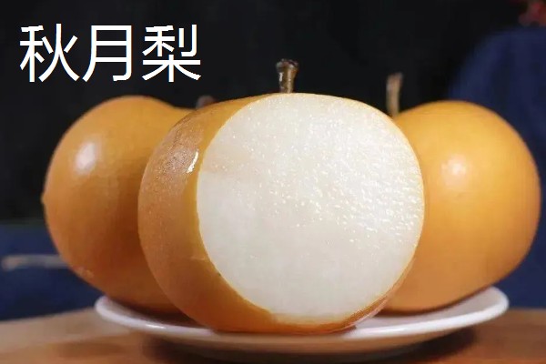 适合榨汁的水果有哪些，有柠檬、橙子等