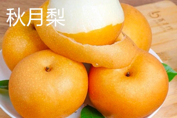 适合榨汁的水果有哪些，有柠檬、橙子等