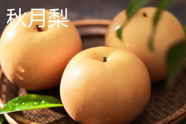 适合榨汁的水果有哪些，有柠檬、橙子等