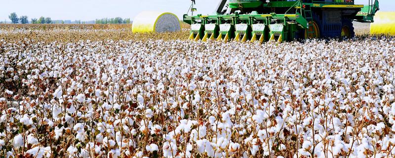 黄淮海区域棉花肥料的施用原则，提倡有机无机搭配