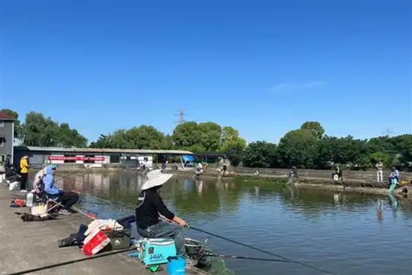 尼龙线好还是pe线好，二者各具优点要根据需求做选择