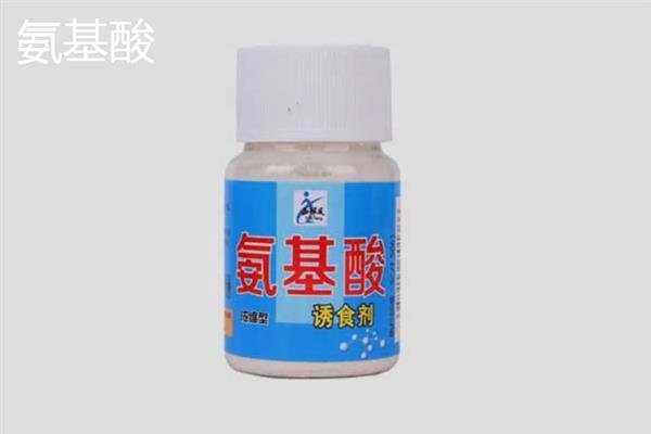 鲮鱼喜欢吃哪种饵料，低温季节更喜爱荤饵
