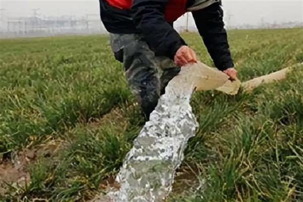 冬小麦进入生长后期怎么浇水，将田间的持水量保持在70-80%