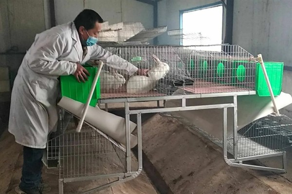 冬季怎么给兔子保暖，要提供给兔子足够的食物