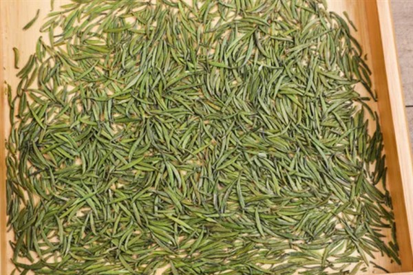 竹叶青是哪种茶，属于未发酵茶中的绿茶