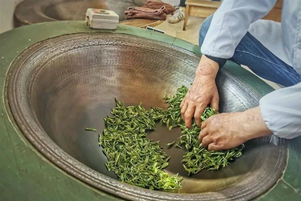 竹叶青是哪种茶，属于未发酵茶中的绿茶