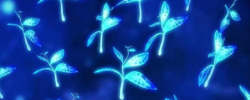 蓝银草是真的存在吗，蓝银草是不存在的