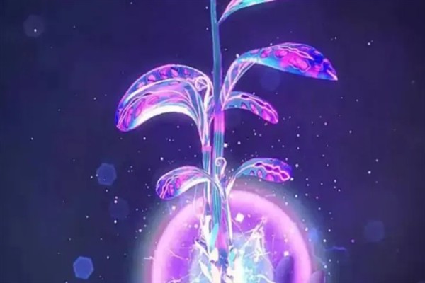 蓝银草是真的存在吗，蓝银草是不存在的