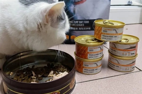 猫咪便血的原因，可能是体内寄生虫感染所致