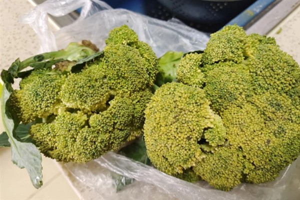 西兰花变黄了后可以吃吗，是可以吃的