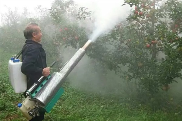 苹果花芽分化期的管理技术,前期要重视肥水管理