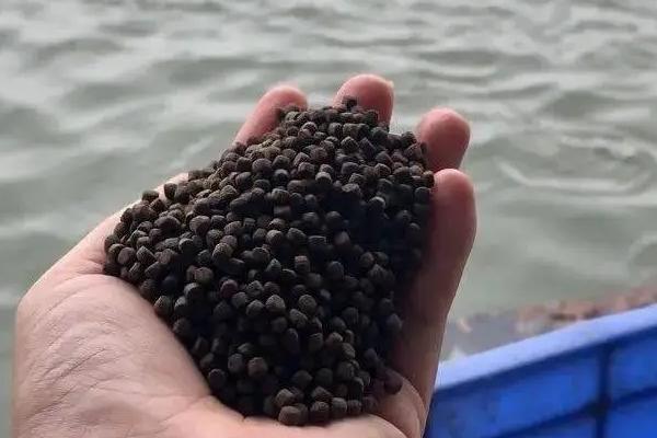 怎么用网箱养殖青虾，日投饵量为存箱虾重量的5-8%