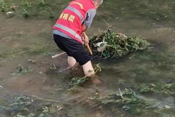 怎么用网箱养殖青虾，日投饵量为存箱虾重量的5-8%