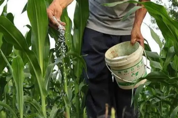 怎么区分真假复合肥，包装粗糙或不完整可能是假劣产品