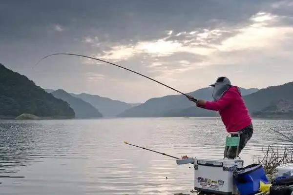 蒙古鲌的产地，主要分布在黑龙江、黄河、淮河等地