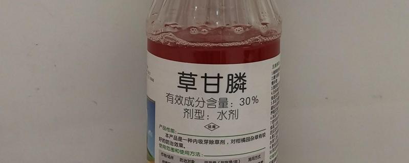 草甘膦如何使用，在雨后杂草叶上无灰尘时使用较好