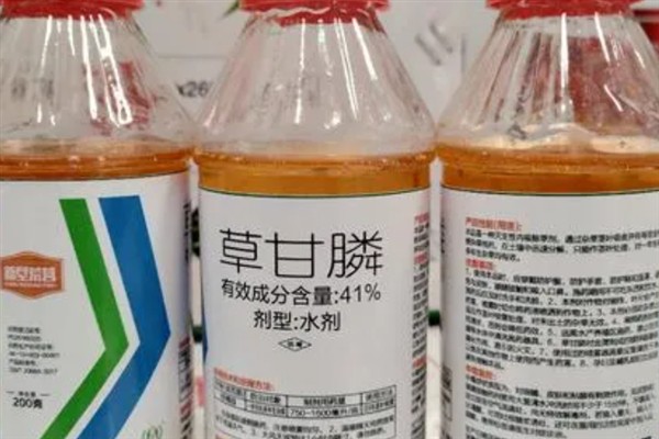 草甘膦如何使用，在雨后杂草叶上无灰尘时使用较好