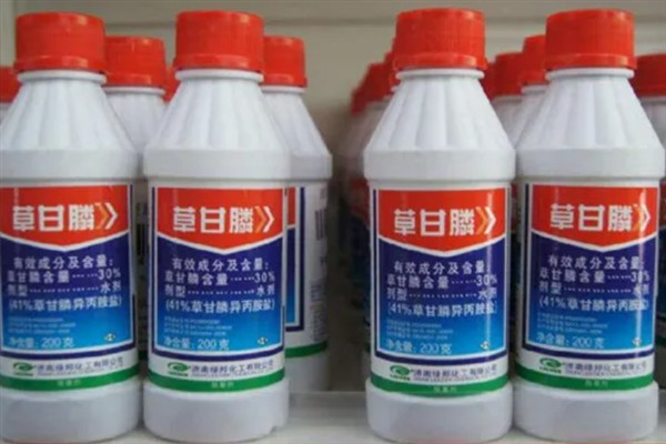 草甘膦如何使用，在雨后杂草叶上无灰尘时使用较好