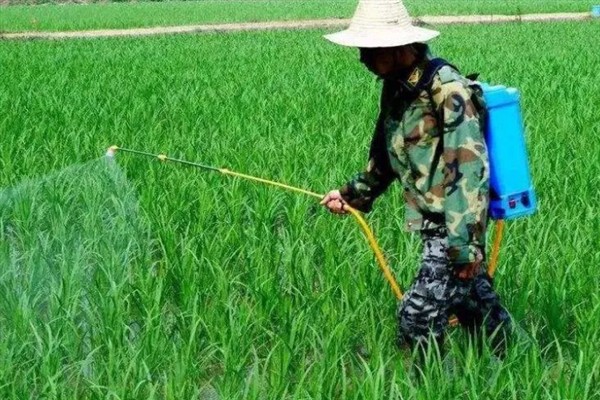草甘膦如何使用，在雨后杂草叶上无灰尘时使用较好