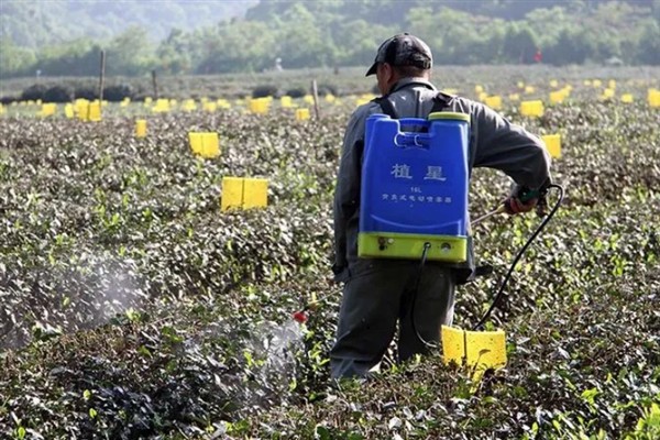 莠灭净对玉米安不安全，通常对于玉米安全