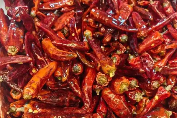 石柱红和天鹰椒的特点，石柱红属于猛辣型辣椒