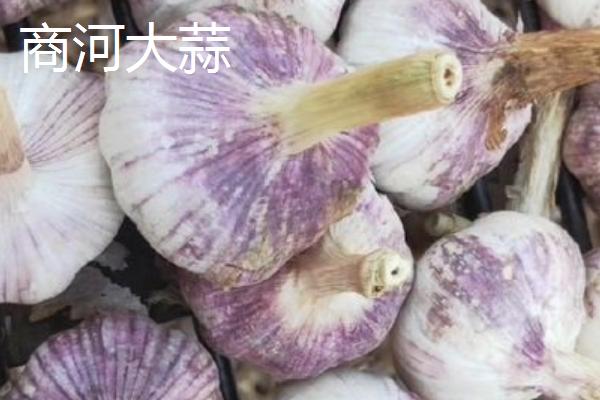 山东商河县的特产，商河老粗布具有鲜明的民族特色