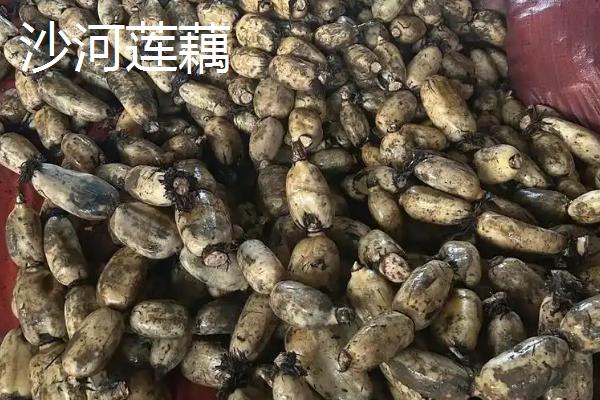 山东商河县的特产，商河老粗布具有鲜明的民族特色