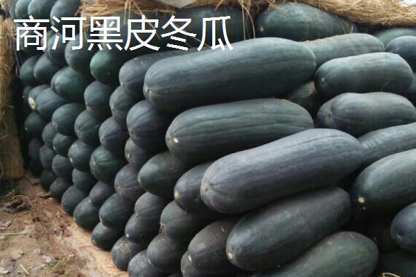 山东商河县的特产，商河老粗布具有鲜明的民族特色
