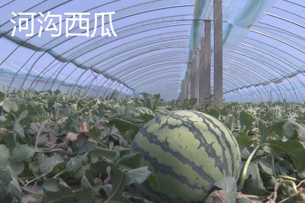 山东商河县的特产，商河老粗布具有鲜明的民族特色