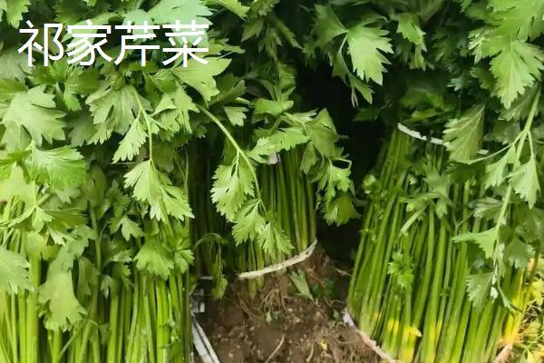山东商河县的特产，商河老粗布具有鲜明的民族特色