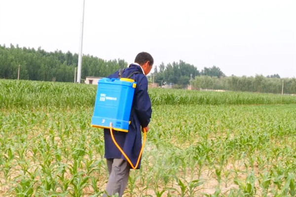 除草剂有什么种类，按传导方法分类可分为触杀型、内吸传导型