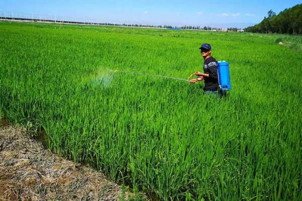 除草剂有什么种类，按传导方法分类可分为触杀型、内吸传导型