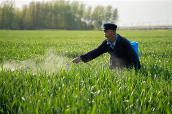 除草剂有什么种类，按传导方法分类可分为触杀型、内吸传导型