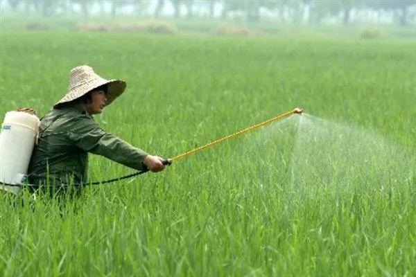 除草剂有什么种类，按传导方法分类可分为触杀型、内吸传导型