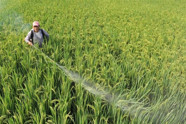 除草剂有什么种类，按传导方法分类可分为触杀型、内吸传导型