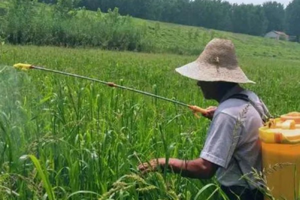 除草剂有什么种类，按传导方法分类可分为触杀型、内吸传导型