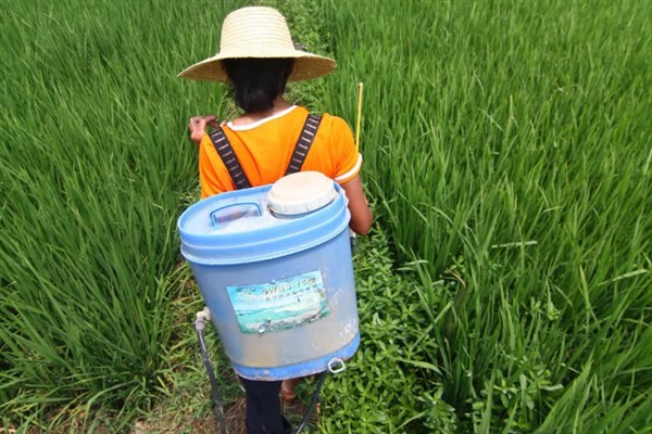 除草剂有什么种类，按传导方法分类可分为触杀型、内吸传导型