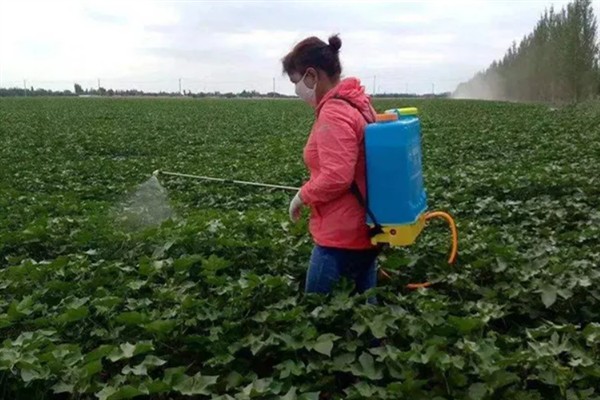 除草剂有什么种类，按传导方法分类可分为触杀型、内吸传导型