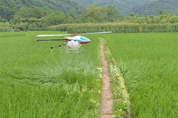 除草剂有什么种类，按传导方法分类可分为触杀型、内吸传导型