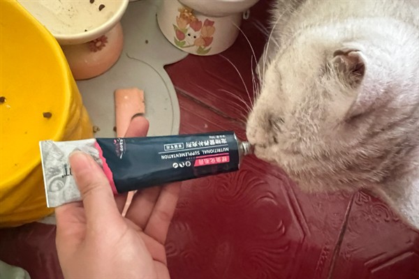 猫咪贫血如何给它补血，可饲喂生血膏和高蛋白的食物