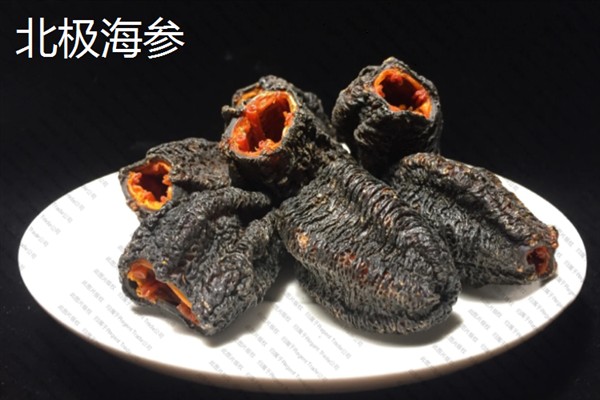 北极参和普通海参有什么区别，主要是外观和生长环境不同
