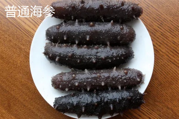 北极参和普通海参有什么区别，主要是外观和生长环境不同