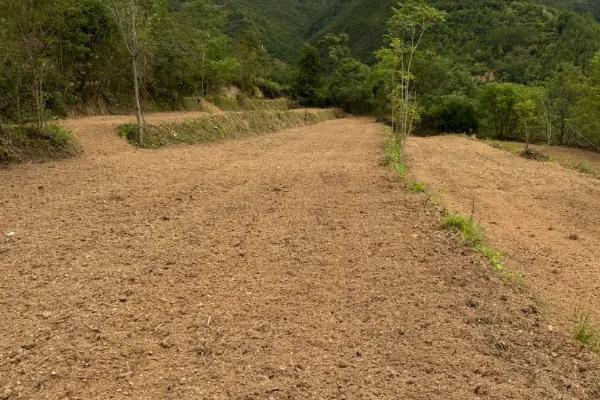 西瓜红红薯的生长条件，适宜生长温度为22-30℃左右