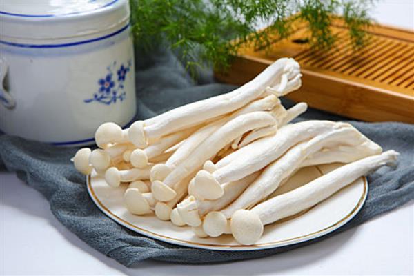 海鲜菇的保存时间，在常温下可保存2天左右