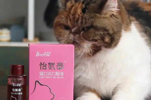 猫咪肠胃炎的治疗方法，饲喂普西丁可以修复肠道粘膜