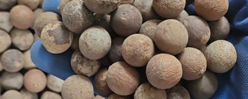 佛心果是哪种树的果实，是无患子树的果实