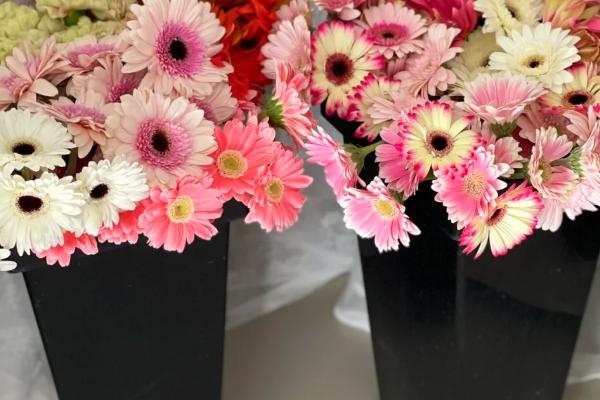非洲菊的醒花方法，修剪枝底后再浸泡花枝